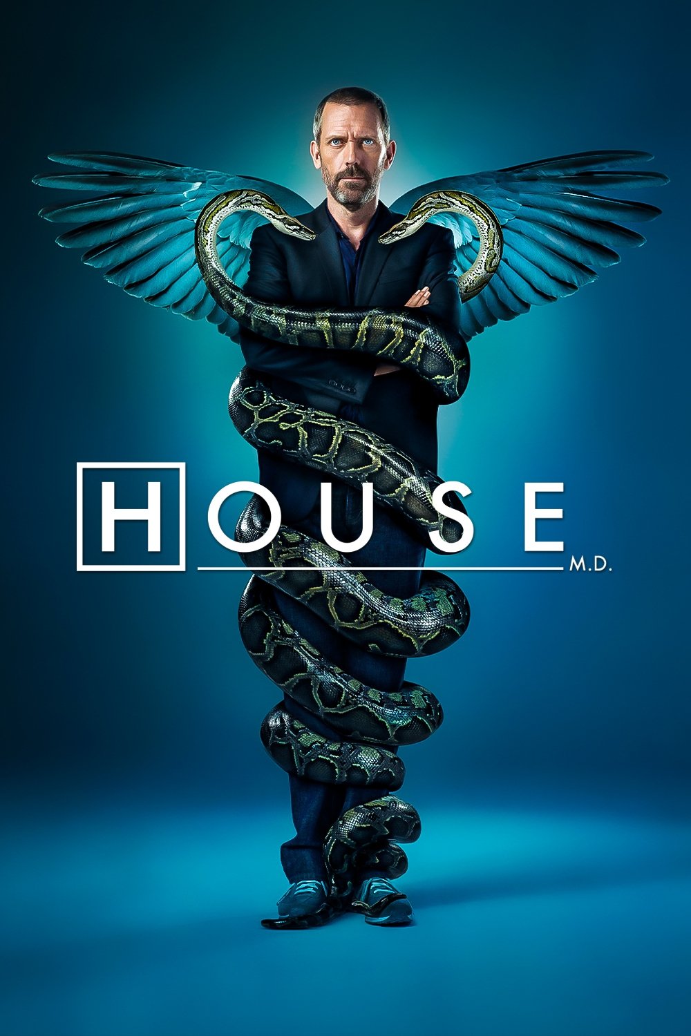 House M.D. (2004 TV Series)